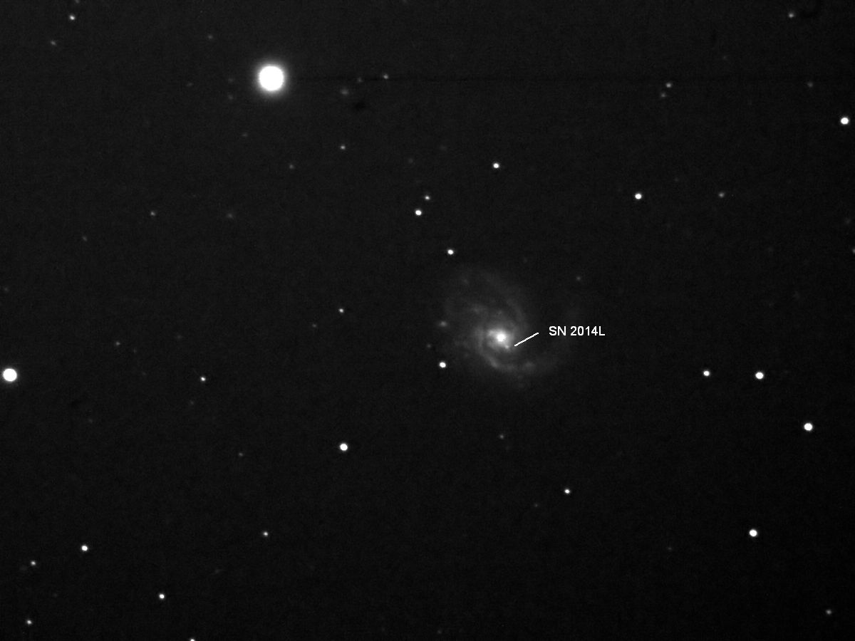 SN in M 99 (23.02.14)