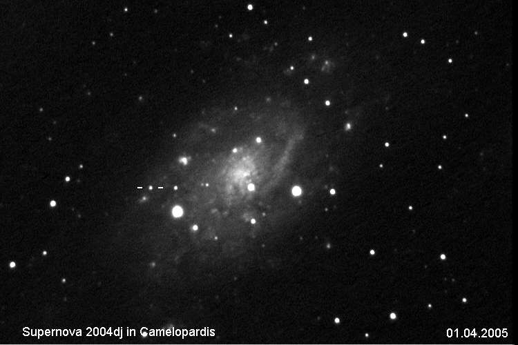 SN in NGC 2403