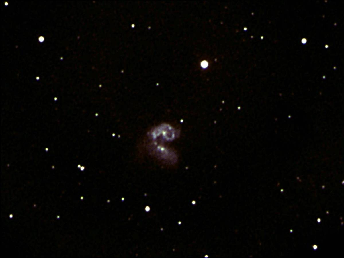 NGC 4038/4039 (10.04.11)