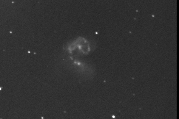 NGC 4038/4039 (17.05.04)