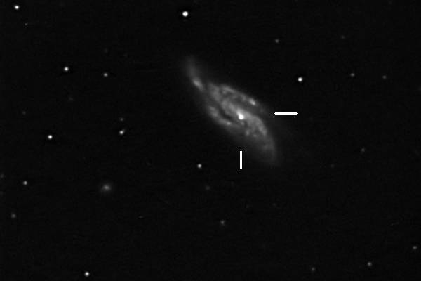 SN in NGC 4088 (19.04.09)