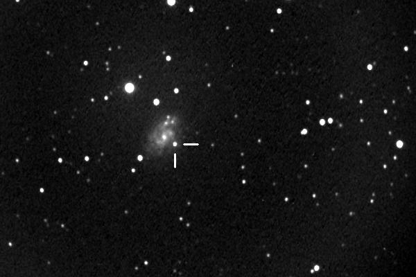 SN in NGC 5584 (15.04.07)