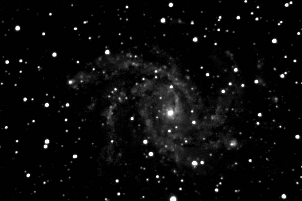 NGC 6946 (17.09.04)